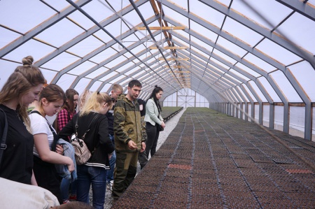 Студентам показали процесс выращивания посадочного материала и маточную плантацию сортовых тополей