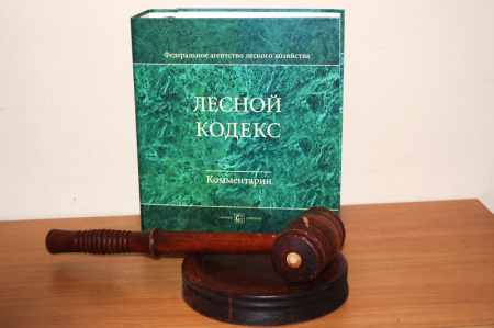  В управлении лесами Правительства Хабаровского края состоялся коммерческий аукцион 