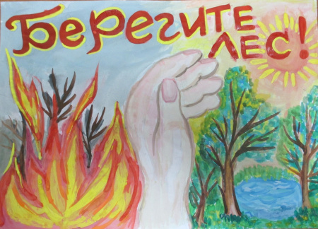 В Ярославской области продолжаются уроки экологического воспитания среди школьников в рамках кампании «Сохраним лес»