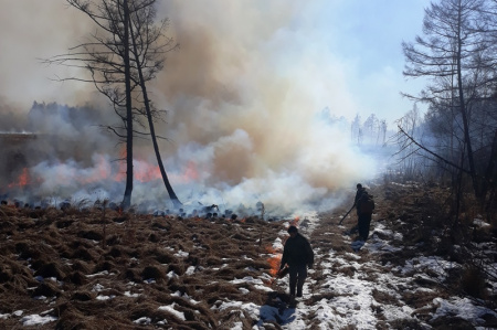 В Хабаровском крае лесные огнеборцы отбили поселок от огня   
