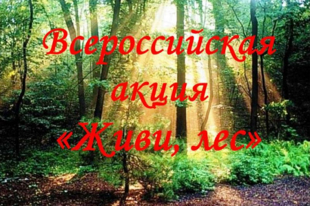 В Хабаровском крае проходит акция «Живи, лес!»