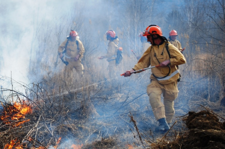 В Хабаровском крае все лесные пожары потушены