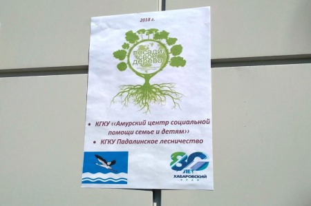 К 80-летию Хабаровского края лесничества провели акцию по посадке деревьев