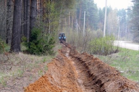 В Хабаровском крае подведены итоги выполнения работ по охране, защите и воспроизводству лесов за 9 месяцев