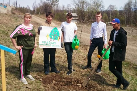 Пришкольный участок Тумнинской школы украсили 25 новых деревьев  