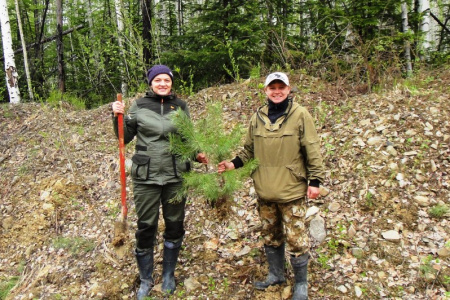 В Хабаровском крае продолжается акция "Всероссийский день посадки леса"