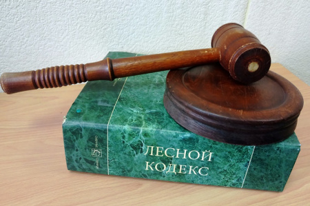 В управлении лесами Правительства Хабаровского края состоялся коммерческий аукцион
