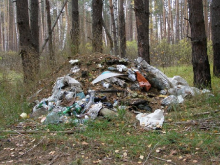 В Медынском лесничестве Калужской области пресекли незаконную свалку на землях лесного фонда