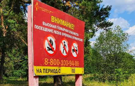 Комитет лесного хозяйства ограничил въезд в леса Подмосковья