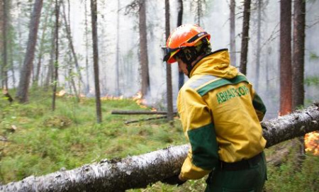 Авиалесоохрана предупредила о возможном увеличении числа лесных пожаров в нескольких регионах
