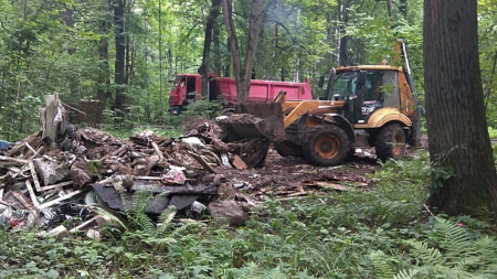 За неделю сотрудники ГАУ МО «Центрлесхоз» вывезли с территории лесного фонда Подмосковья почти 500 кубометров строительного и бытового мусора