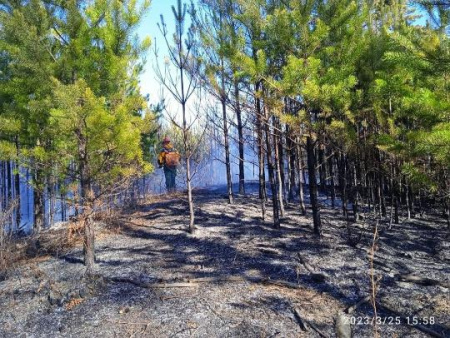 В Красноярском крае ликвидирован первый лесной пожар
