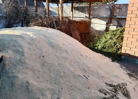 Снегование семян лесных растений в Брянской области
