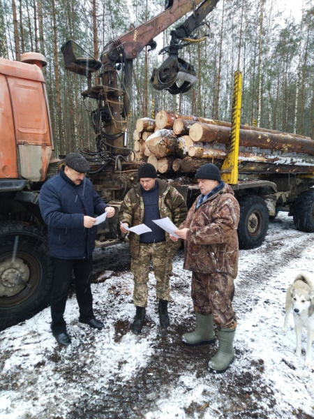 Управлением лесами Брянской области проверен ход и качество работ по заготовке лесосеменного сырья в лесничествах области