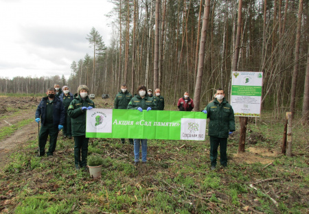 Реализация регионального проекта "Сохранение лесов" национального проекта "Экология" в ГКУ Брянской области "Севское лесничество" на 21.10.2020 г.
