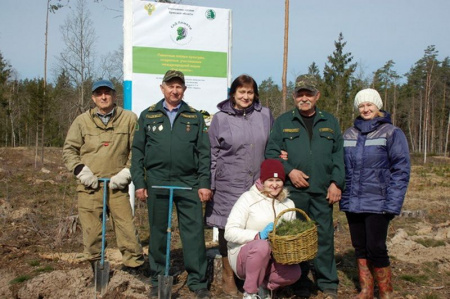 Благоустройство пригородных лесов в Клинцовском лесничестве Брянской области