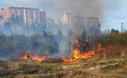 Четырнадцать лесных пожаров ликвидировано в Подмосковье за минувшие выходные