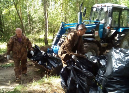 Более 300 кубометров бытовых отходов убрано в рамках акции «Очистим лес от мусора» в Ярославской области