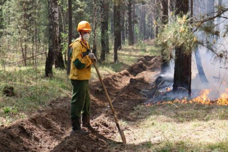 На север Красноярского края прибудут дополнительно более 100 лесных пожарных