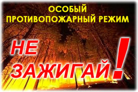 Особый противопожарный режим введен с 28 марта на территории Орловской области