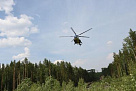 Рослесхоз: Хабаровск и Якутия сократили «зоны контроля» на 33,2 млн га