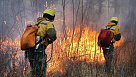 На тушение лесных пожаров в Амурской области направлены 35 парашютистов-десантников