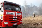 В Брянской области объявлено о начале пожароопасного сезона в лесах