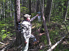 Рослесозащита: тысячу ловушек разместят лесопатологи в лесах, чтобы вовремя отследить нарастание численности насекомых-вредителей