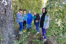 Школьное лесничество «Боровское» изучает осенние изменения в жизни деревьев